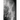 In the Bodies