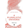 A Pluralistic Universe