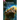 Prayers to an Evolutionary God
