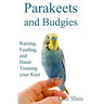 Parakeets And Budgies - Raising, Feeding, And Hand-Training Your Keet