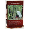 The book of camping and woodcraft: a guidebook for those who travel in the wild