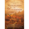 Novelists in November: a Wild Blue Wonder Press anthology