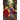 The Odyssey: The New Dawn #2