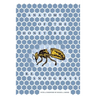 Anatomy of the Honey Bee