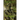 Wanderlust Seasons Book One - Vagrant Summer