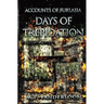 Days of Trepidation: (Accounts of Furlasia Book 3)
