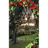 A Lowcountry Christmas Miracle