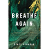 Breathe Again: Choosing to Believe There's More When Life Has Left You Broken