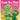 I Love You, Mom - Earth Ninja: A Rhyming Children's Book About the Love Between a Child and Their Mother, Perfect for Mother's Day and Earth Day