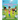 Eat Healthy, Stay Active, Have Fun!: Wellness Guide and Activity Workbook