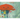 The Big Umbrella