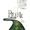Blink: a poetic novella