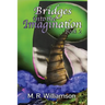 Bridges Into the Imagination Book 2