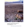 Forging a Socio-Legal Approach to Environmental Harms Global Perspectives
