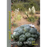 Permaculture Plants: agaves and cacti