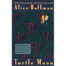 Turtle Moon