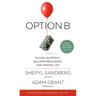 Option B: Facing Adversity, Building Resilience, and Finding Joy