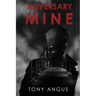Adversary Mine
