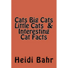 Cats Big Cats Little Cats & Interesting Cat Facts: Cats Big Cats Little Cats & Interesting Cat Facts