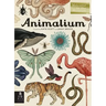 Animalium: Welcome to the Museum