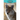 Coyotes