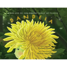 Book One of the Hidden Magic of Plants: Dandeia
