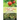 How to Grow Fruit Trees Outdoors: The Ultimate Beginner's Guide on Successfully Growing Fruit Trees Outdoors