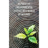 Reparative Environmental Justice in a World of Wounds
