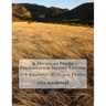 A Michigan Photo Presentation Second Edition