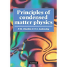 Principles of Condensed Matter Physics