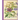 Antique Botanical Design Studio Book I Circa 1834-36