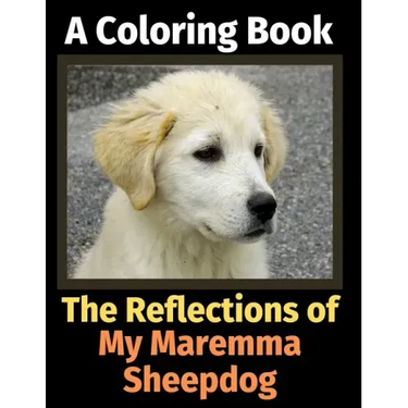 The Reflections of My Maremma Sheepdog: A Coloring Book
