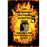 The Negro Question Part 5 Joseph and the 12th dynasty of Egypt