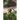 Accidental Garden