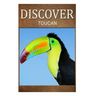 Toucan - Discover: Early reader's wildlife photography book