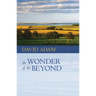 The Wonder of the Beyond