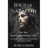 JESUS OF NAZARETH Part Two: KICKING THE HORNETS' NEST: Arrested, Condemned and Executed -That Was the Plan?