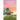 Cape May Dreams (Cape May Book 16)