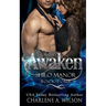 Awaken: Multi-dimensional Soul Mates