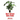 Don't Repot That Plant!: And Other Indoor Plant Care Mistakes