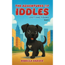 The Adventures Of Iddles: Lost And Found