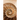 The Shell Collector