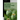 Natural Poisons and Venoms: Plant Toxins: Alkaloids and Lectins