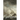 Exploration: The Stanfield Chronicles