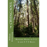 Crying Soul: Modern Haiku in 3-2-4 and 5-7-5 Beats