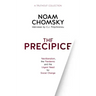 The Precipice: Neoliberalism, the Pandemic and Urgent Need for Social Change