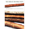 The Ecology of Freedom: The Emergence and Dissolution of Hierarchy