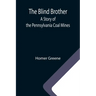 The Blind Brother: A Story of the Pennsylvania Coal Mines