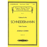 Cadenza for the Schneidermann Violin Concerto