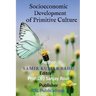 Socioeconomic Development of Primitive Culture